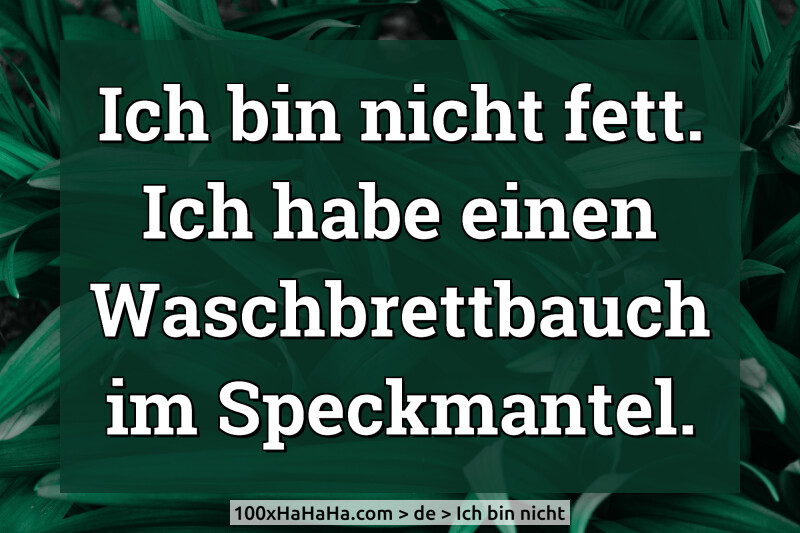 Ich bin nicht fett. Ich habe einen Waschbrettbauch im Speckmantel.
