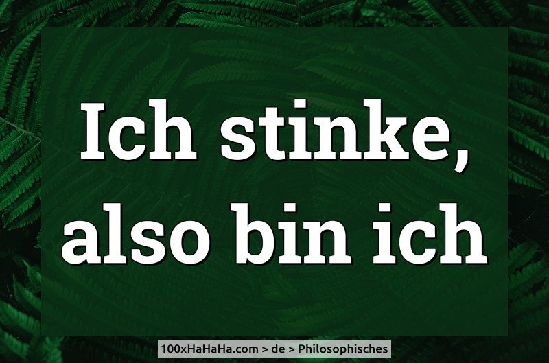 Ich stinke, also bin ich