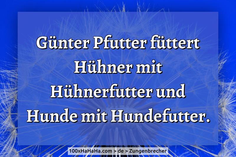 Guenter Pfutter fuettert Huehner mit Huehnerfutter und Hunde mit Hundefutter.