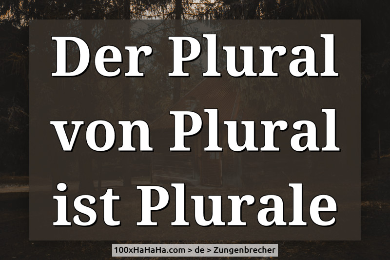 Der Plural von Plural ist Plurale