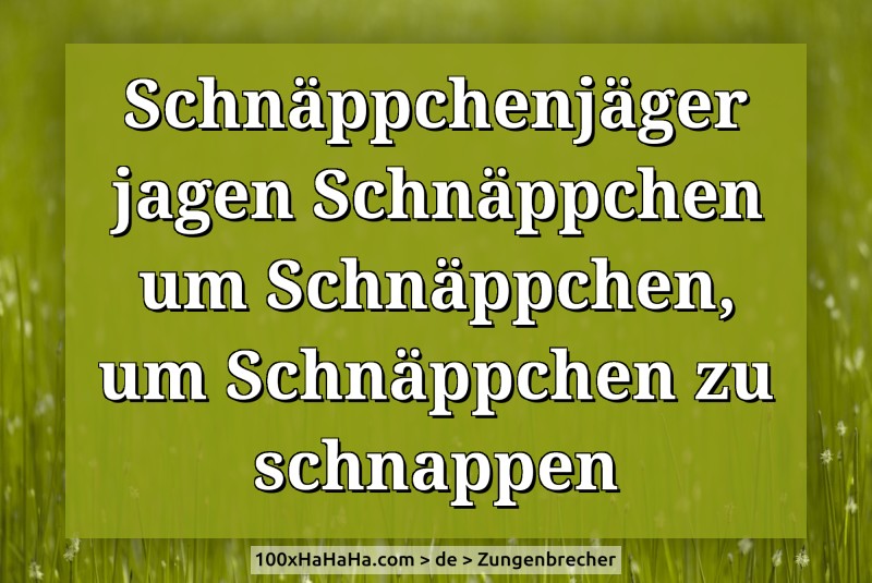 Schnaeppchenjaeger jagen Schnaeppchen um Schnaeppchen, um Schnaeppchen zu schnappen