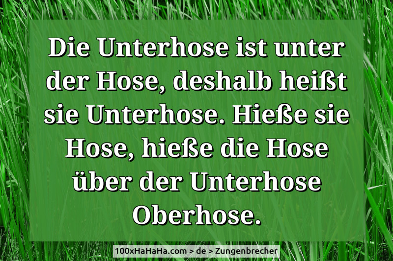 Die Unterhose ist unter der Hose, deshalb heisst sie Unterhose. Hiesse sie Hose, hiesse die Hose ueber der Unterhose Oberhose.