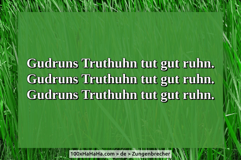 Gudruns Truthuhn tut gut ruhn. / Gudruns Truthuhn tut gut ruhn. / Gudruns Truthuhn tut gut ruhn.