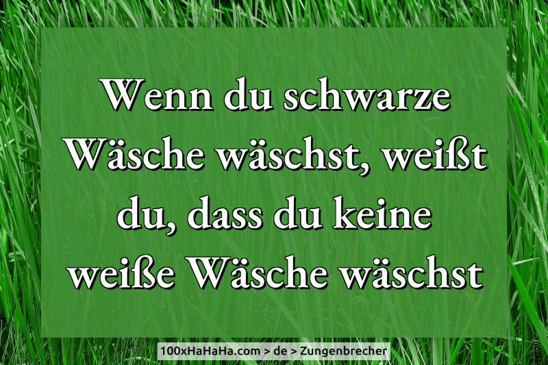 Wenn du schwarze Waesche waeschst, weisst du, dass du keine weisse Waesche waeschst
