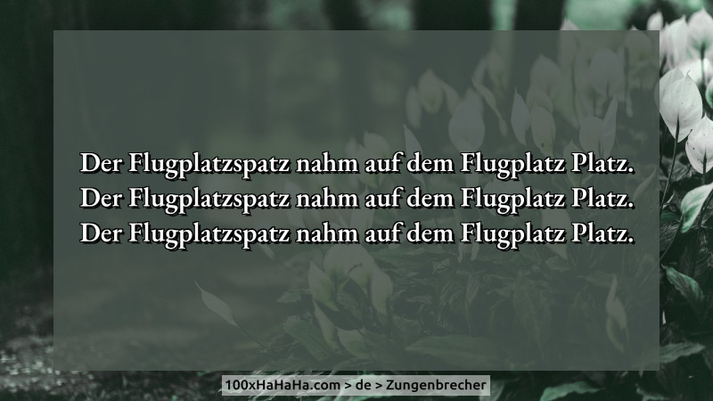 Der Flugplatzspatz nahm auf dem Flugplatz Platz. / Der Flugplatzspatz nahm auf dem Flugplatz Platz. / Der Flugplatzspatz nahm auf dem Flugplatz Platz.