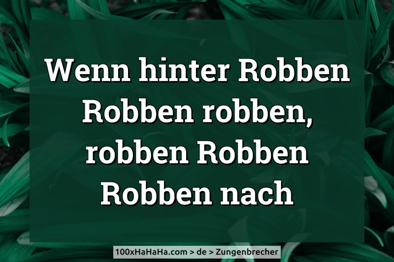 Wenn hinter Robben Robben robben, robben Robben Robben nach