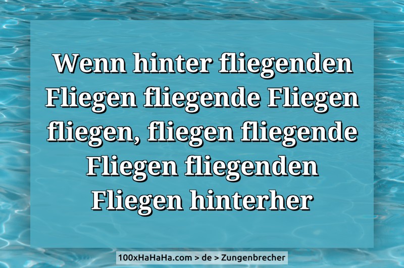 Wenn hinter fliegenden Fliegen fliegende Fliegen fliegen, fliegen fliegende Fliegen fliegenden Fliegen hinterher