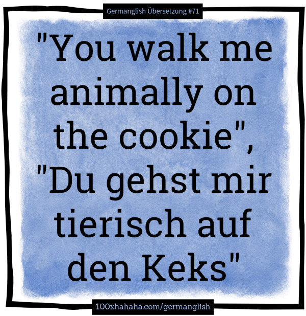 "You walk me animally on the cookie", "Du gehst mir tierisch auf den Keks"