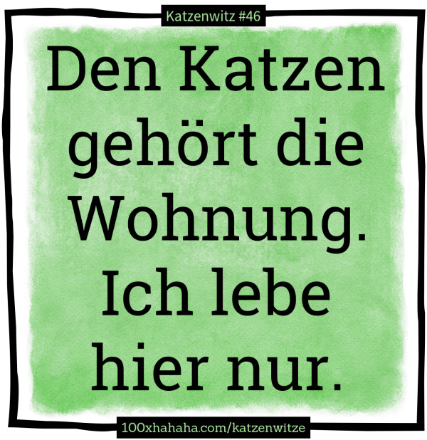 Den Katzen gehoert die Wohnung. Ich lebe hier nur.