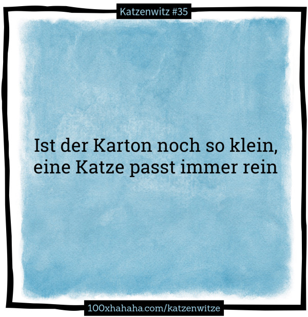 Ist der Karton noch so klein, / eine Katze passt immer rein