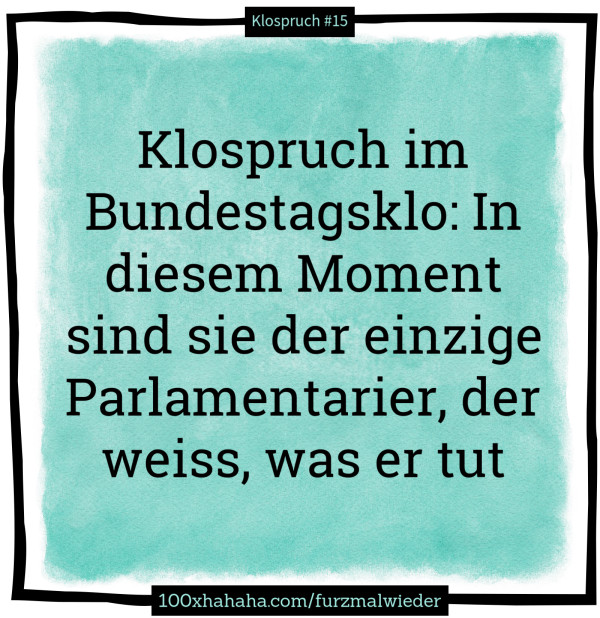 Klospruch im Bundestagsklo: In diesem Moment sind sie der einzige Parlamentarier, der weiss, was er tut