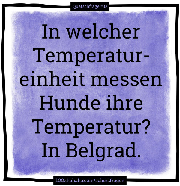 In welcher Temperatureinheit messen Hunde ihre Temperatur? In Belgrad.