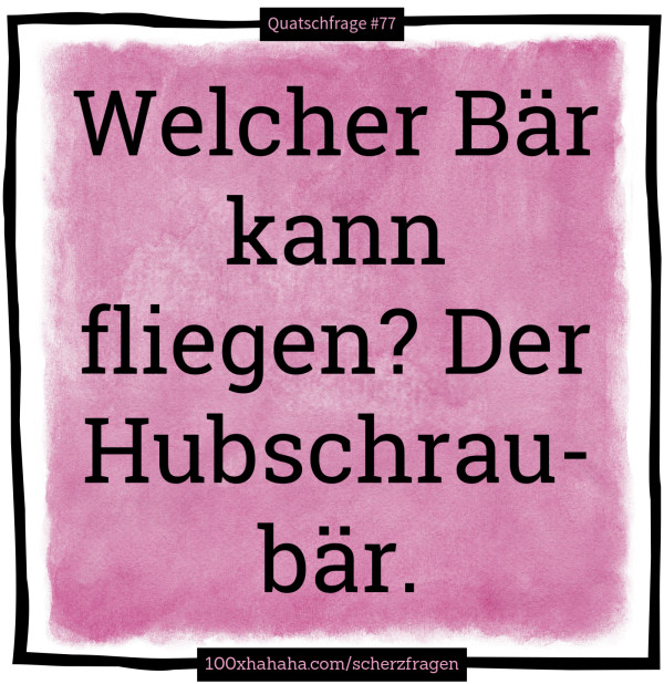 Welcher Baer kann fliegen? Der Hubschraubaer.