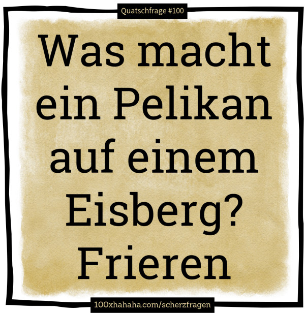 Was macht ein Pelikan auf einem Eisberg? Frieren