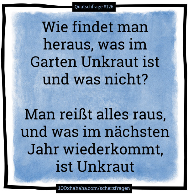 Wie findet man heraus, was im Garten Unkraut ist und was nicht? / / Man reisst alles raus, und was im naechsten Jahr wiederkommt, ist Unkraut