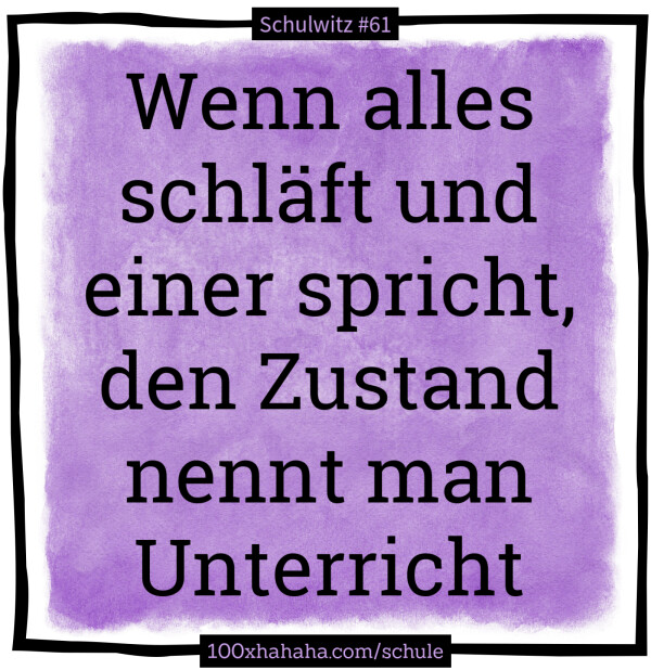 Wenn alles schlaeft und einer spricht, den Zustand nennt man Unterricht
