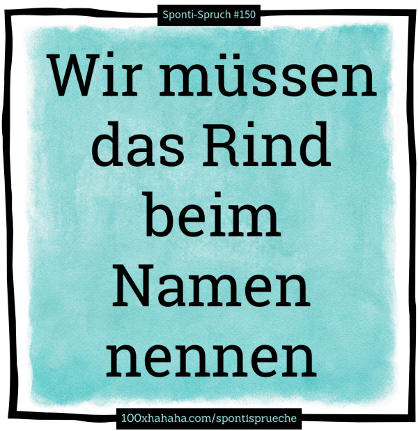 Wir muessen das Rind beim Namen nennen
