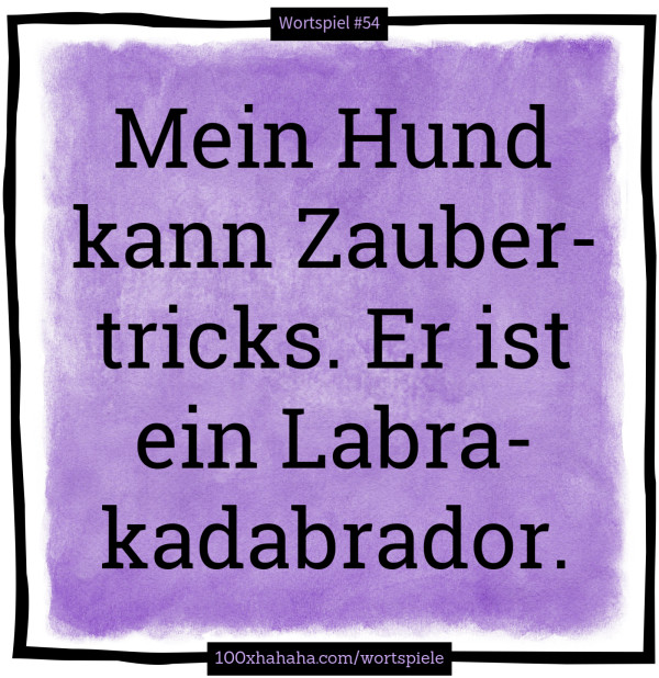 Mein Hund kann Zaubertricks. Er ist ein Labrakadabrador.
