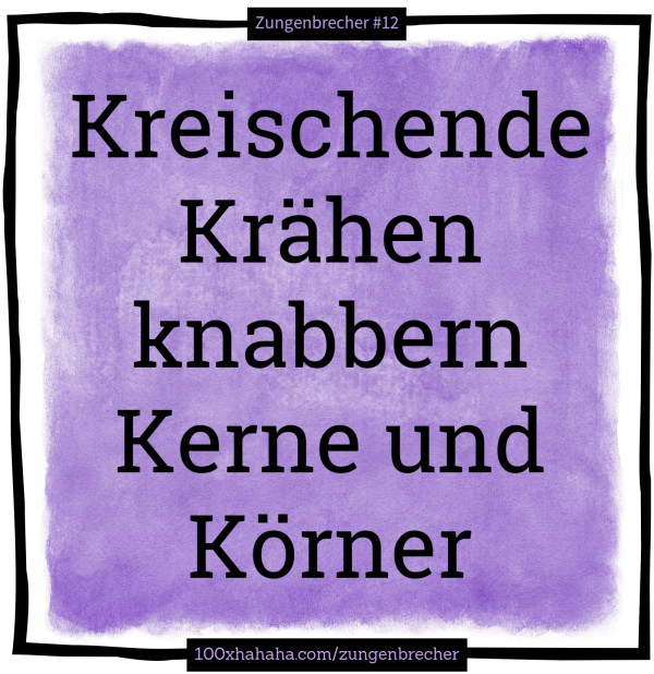 Kreischende Kraehen knabbern Kerne und Koerner
