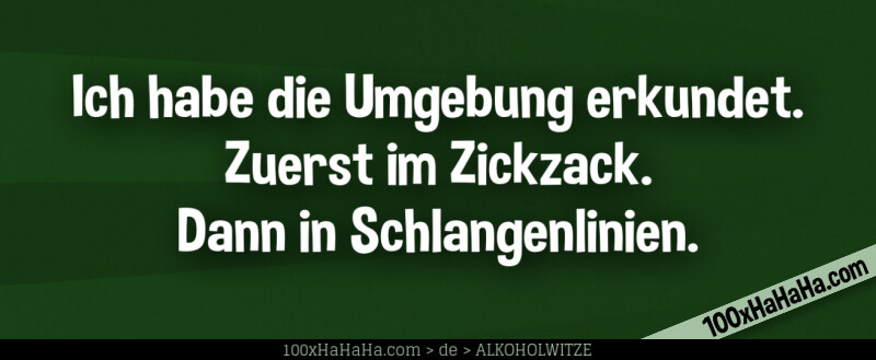 Ich habe die Umgebung erkundet. Zuerst im Zickzack. Dann in Schlangenlinien.