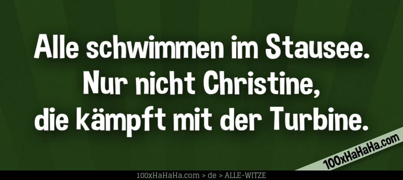 Alle schwimmen im Stausee. Nur nicht Christine, die kaempft mit der Turbine