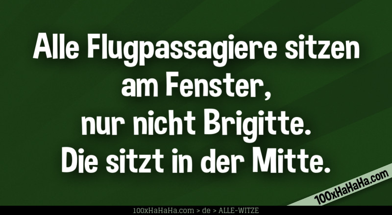 Alle Flugpassagiere sitzen am Fenster, nur nicht Brigitte. Die sitzt in der Mitte
