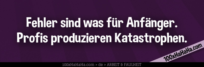 Fehler sind was fuer Anfaenger. Profis produzieren Katastrophen.