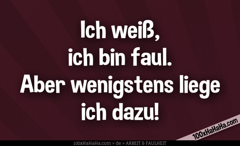 Ich weiss, ich bin faul. Aber wenigstens liege ich dazu!
