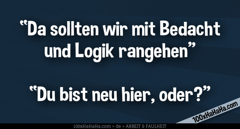 "Da sollten wir mit Bedacht und Logik rangehen" —"Du bist neu hier, oder?"