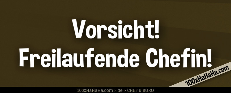 Vorsicht! / Freilaufende Chefin!