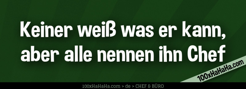 Keiner weiss was er kann, aber alle nennen ihn Chef