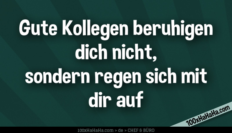 Gute Kollegen beruhigen dich nicht, sondern regen sich mit dir auf