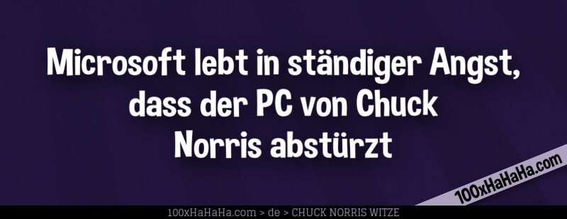 Microsoft lebt in staendiger Angst, dass der PC von Chuck Norris abstuerzt