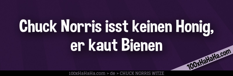 Chuck Norris isst keinen Honig, er kaut Bienen