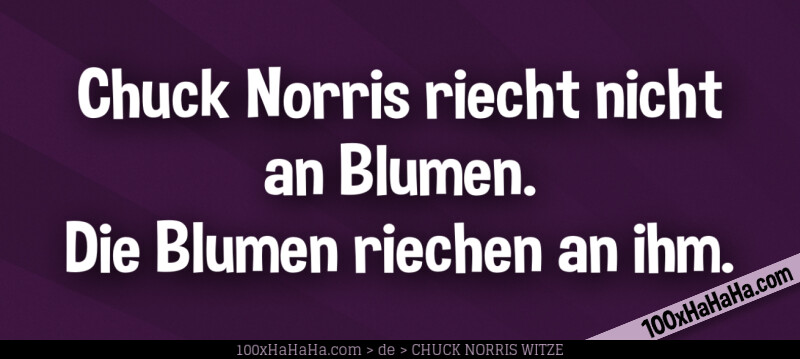 Chuck Norris riecht nicht an Blumen. Die Blumen riechen an ihm