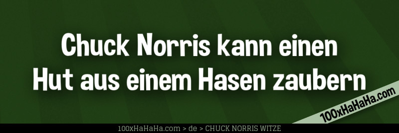 Chuck Norris kann einen Hut aus einem Hasen zaubern