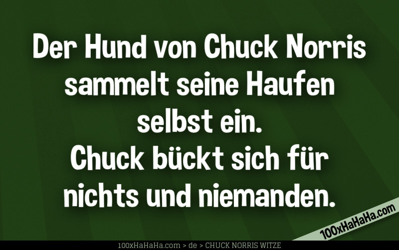 Der Hund von Chuck Norris sammelt seine Haufen selbst ein. Chuck bueckt sich fuer nichts und niemanden