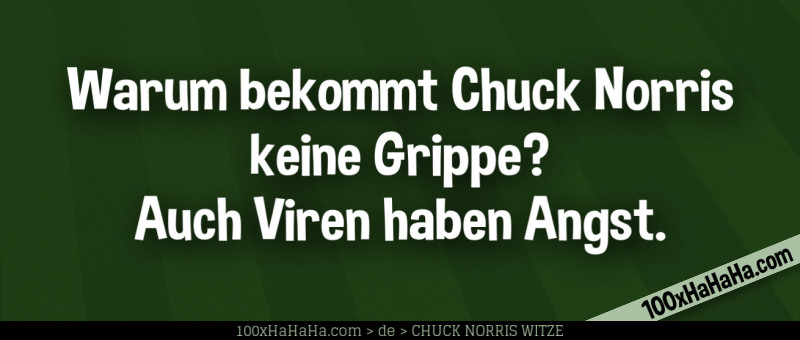 Warum bekommt Chuck Norris keine Grippe? Auch Viren haben Angst