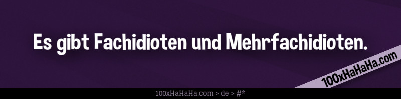Es gibt Fachidioten und Mehrfachidioten