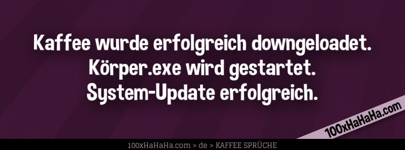 Kaffee wurde erfolgreich downgeloadet. Koerper.exe wird gestartet. System-Update erfolgreich.