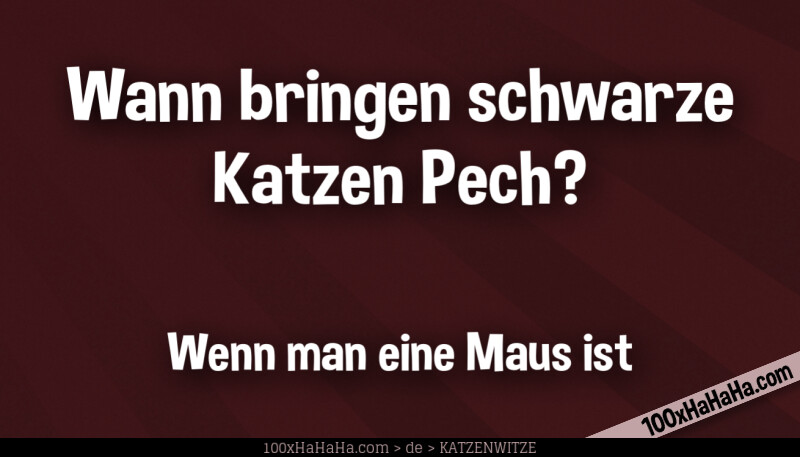 Wann bringen schwarze Katzen Pech? / / Wenn man eine Maus ist