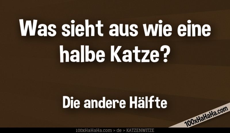 Was sieht aus wie eine halbe Katze? / / Die andere Haelfte
