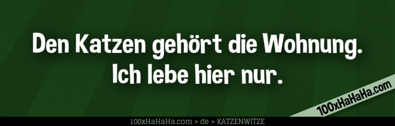 Den Katzen gehoert die Wohnung. Ich lebe hier nur.