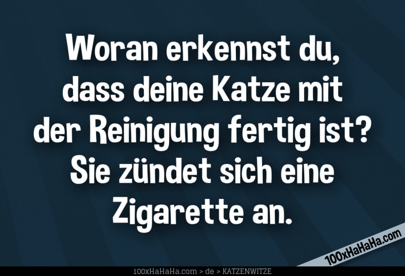 Woran erkennst du, dass deine Katze mit der Reinigung fertig ist? Sie zuendet sich eine Zigarette an.