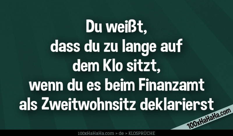 Du weisst, dass du zu lange auf dem Klo sitzt, wenn du es beim Finanzamt als Zweitwohnsitz deklarierst