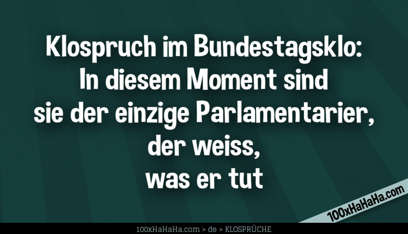 Klospruch im Bundestagsklo: In diesem Moment sind sie der einzige Parlamentarier, der weiss, was er tut