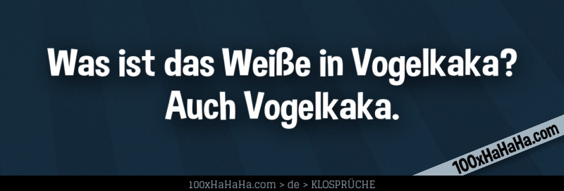 Was ist das Weisse in Vogelkaka? Auch Vogelkaka.