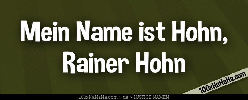 Mein Name ist Hohn, Rainer Hohn