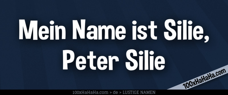 Mein Name ist Silie, Peter Silie