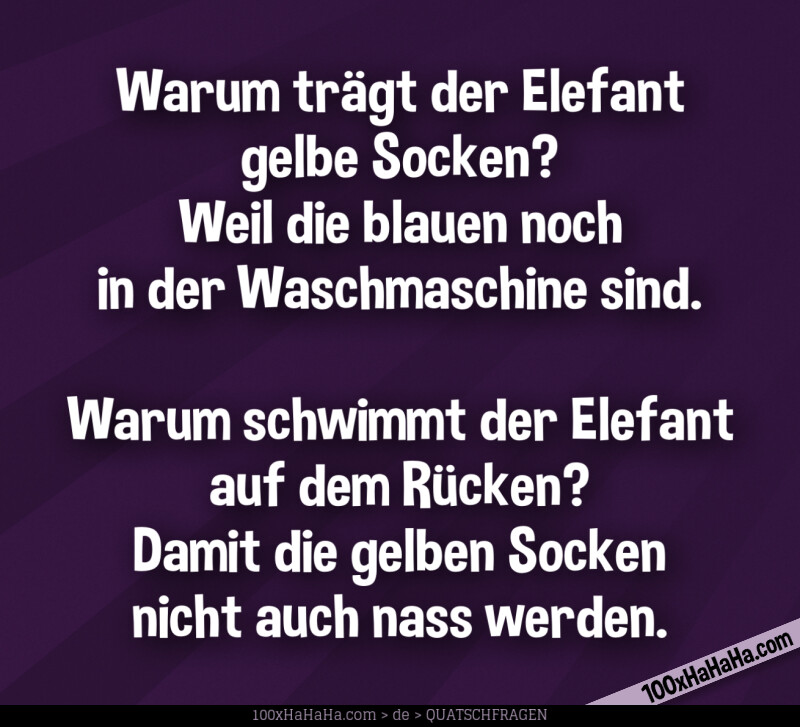 Warum traegt der Elefant gelbe Socken? Weil die blauen noch in der Waschmaschine sind. / / Warum schwimmt der Elefant auf dem Ruecken? Damit die gelben Socken nicht auch nass werden.